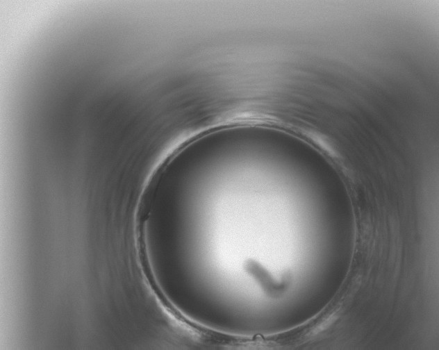 X0000061721430200512091949