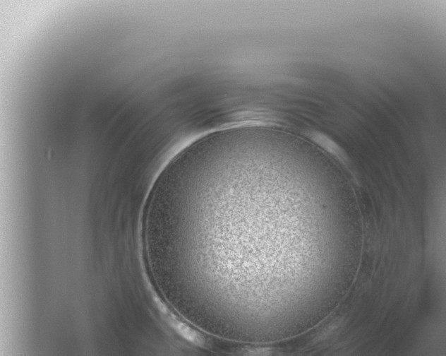 X0000061721431200512091949