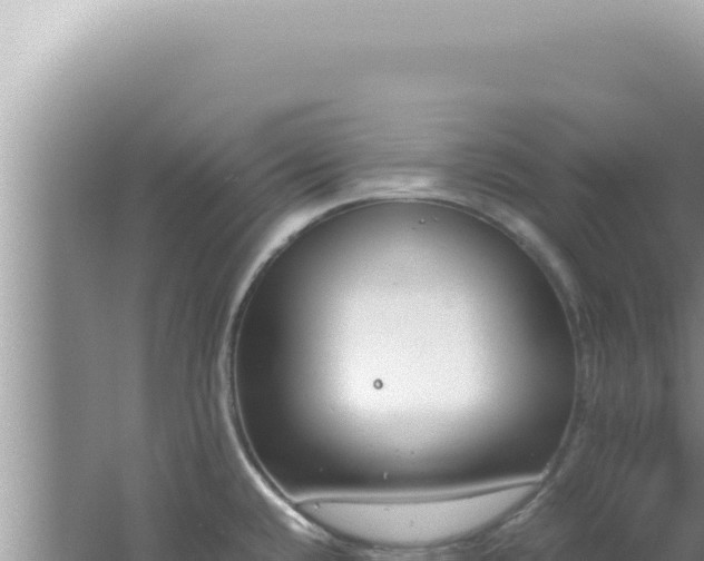 X0000061721432200512091949