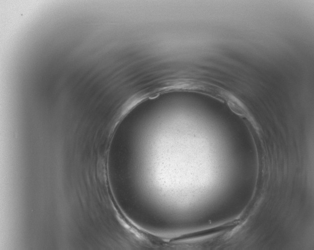 X0000061721433200512091949