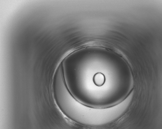 X0000061721434200512091949