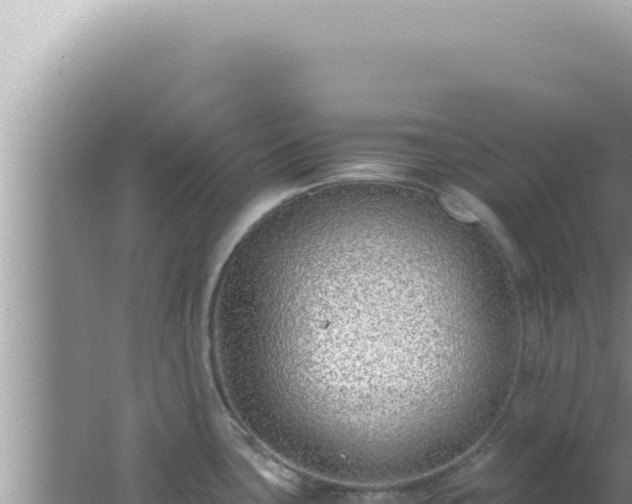 X0000061721435200512091949