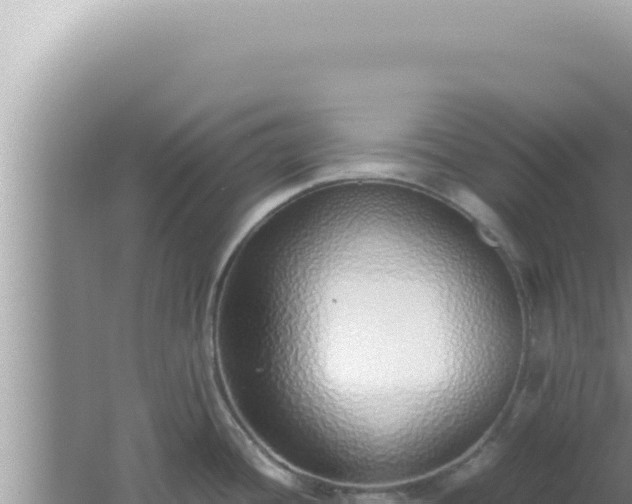 X0000061721436200512091949