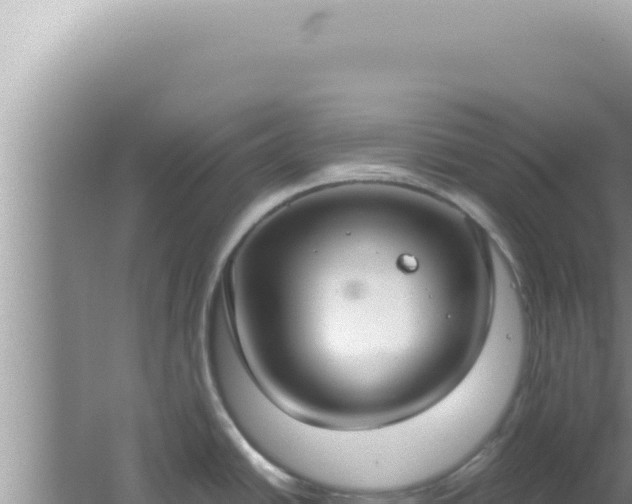 X0000061721438200512091949