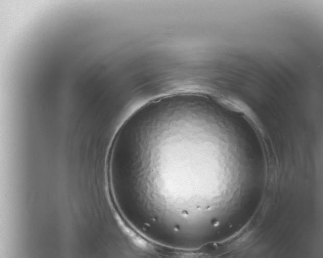 X0000061721439200512091949