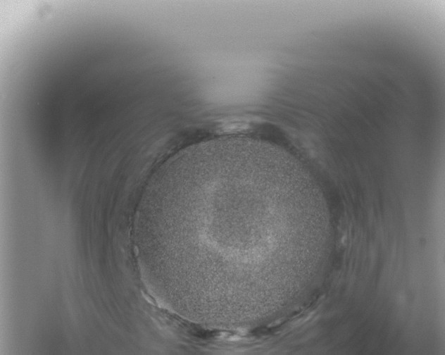 X0000061721441200512091948