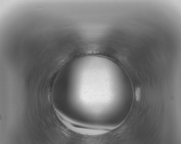 X0000061721444200512091948