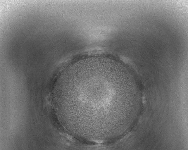 X0000061721445200512091948