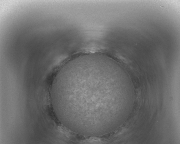 X0000061721446200512091948