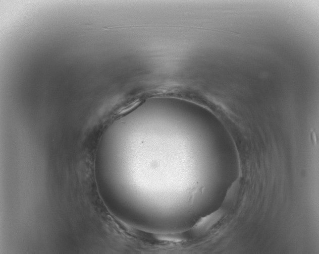 X0000061721447200512091948