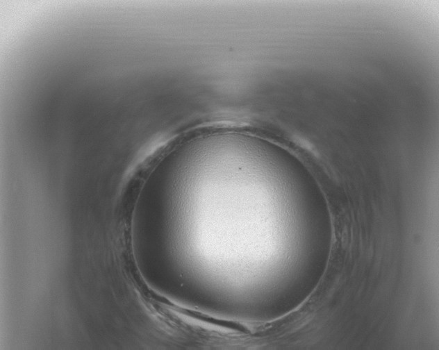 X0000061721448200512091948