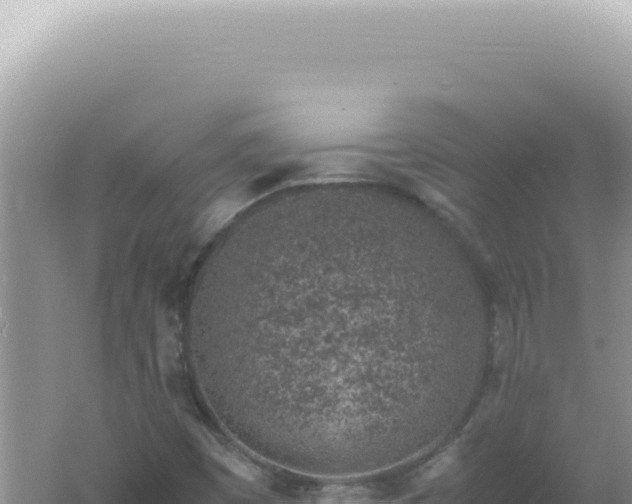 X0000061721449200512091948