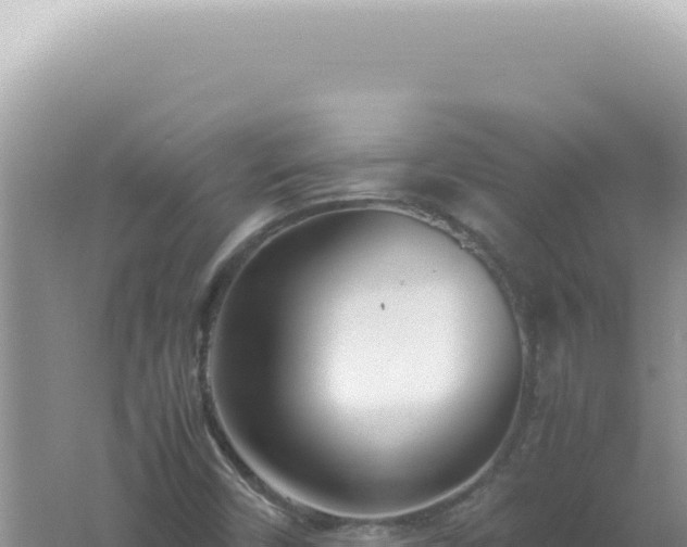 X0000061721450200512091948