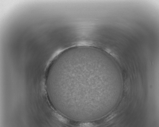 X0000061721454200512091948