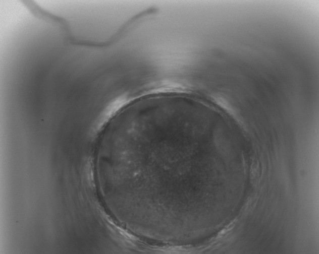 X0000061721455200512091948