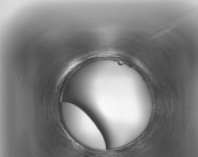 X0000061721456200512091948