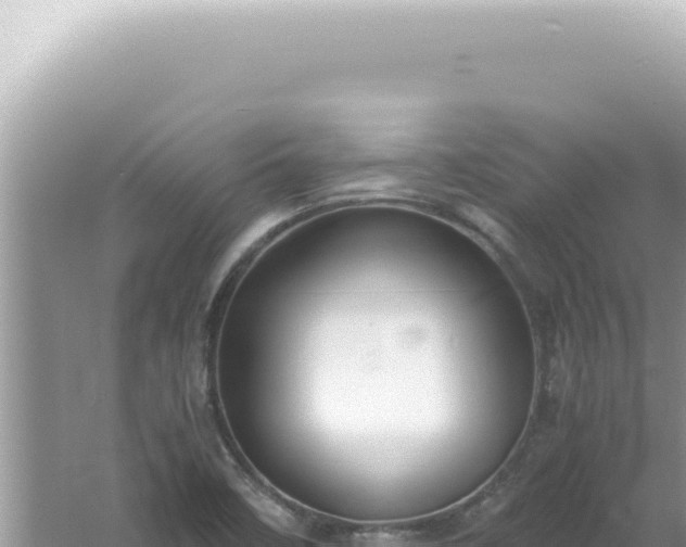 X0000061721458200512091948