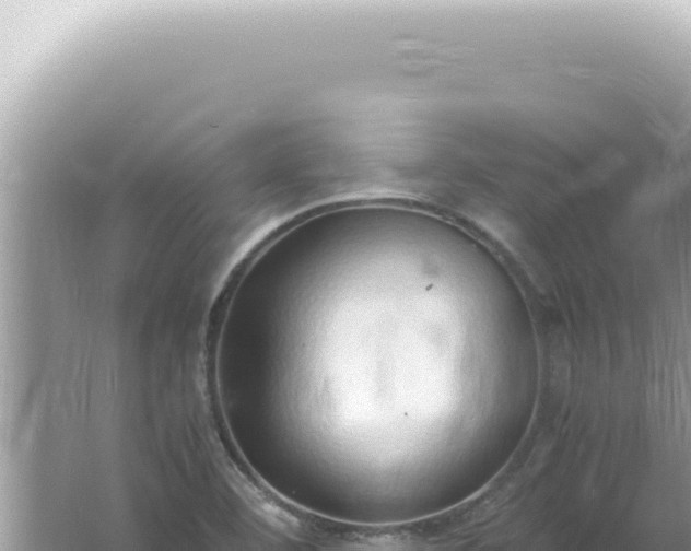 X0000061721460200512091948