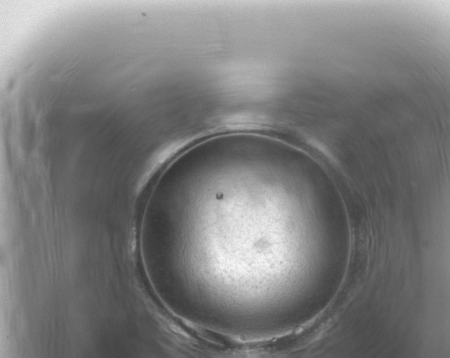 X0000061721461200512091948