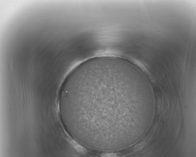 X0000061721462200512091948