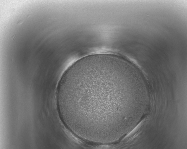 X0000061721463200512091948