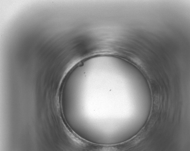 X0000061721466200512091948