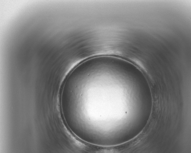 X0000061721468200512091948