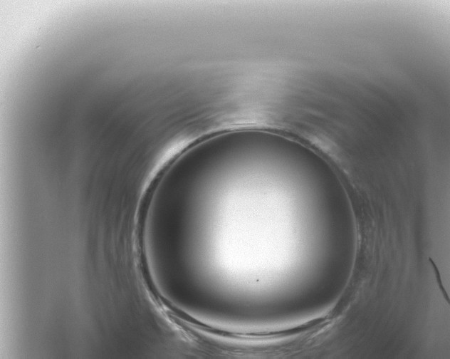 X0000061721469200512091948