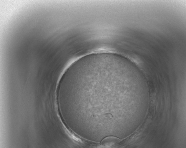 X0000061721470200512091947