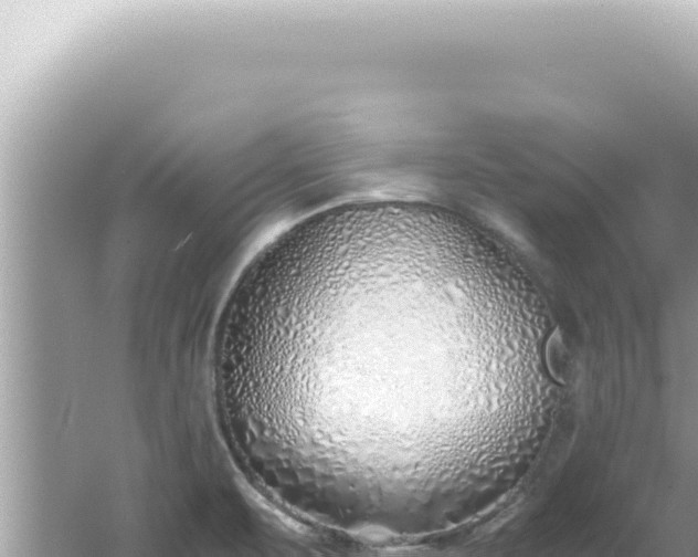 X0000061721471200512091947