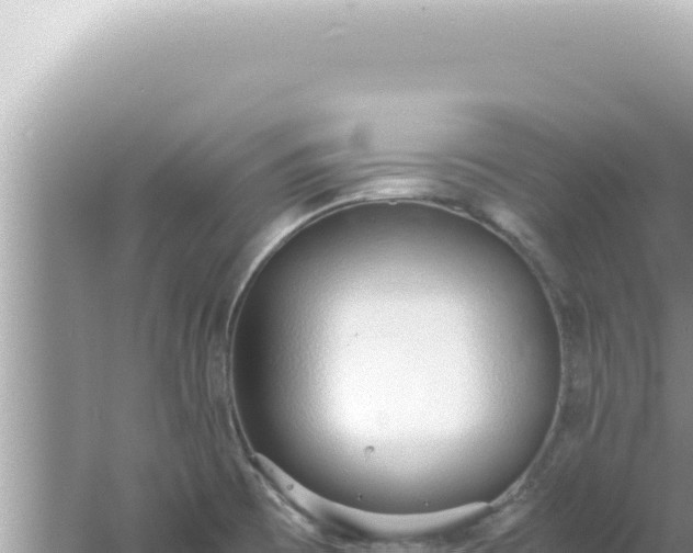 X0000061721473200512091947