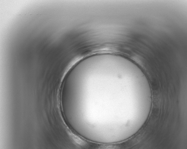 X0000061721474200512091947