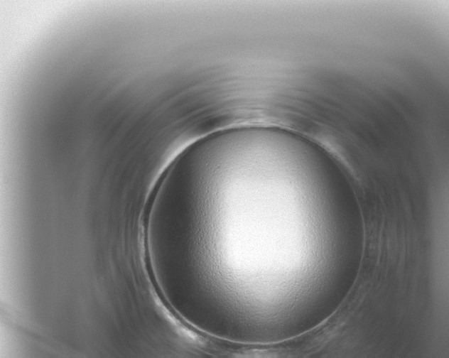 X0000061721476200512091947