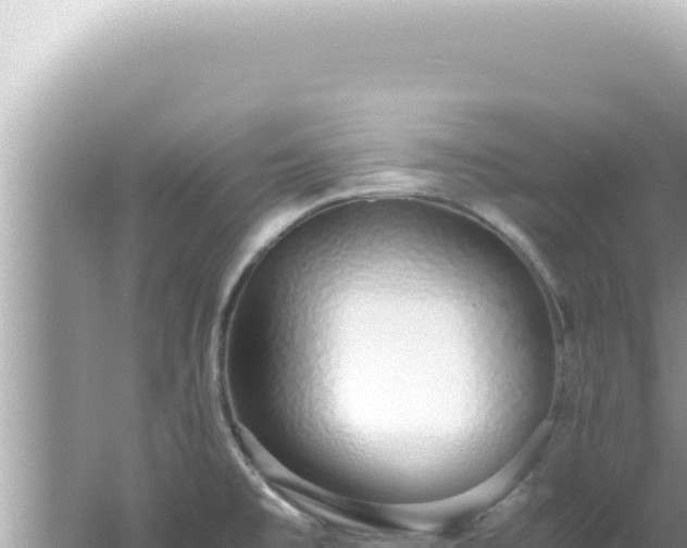 X0000061721477200512091947