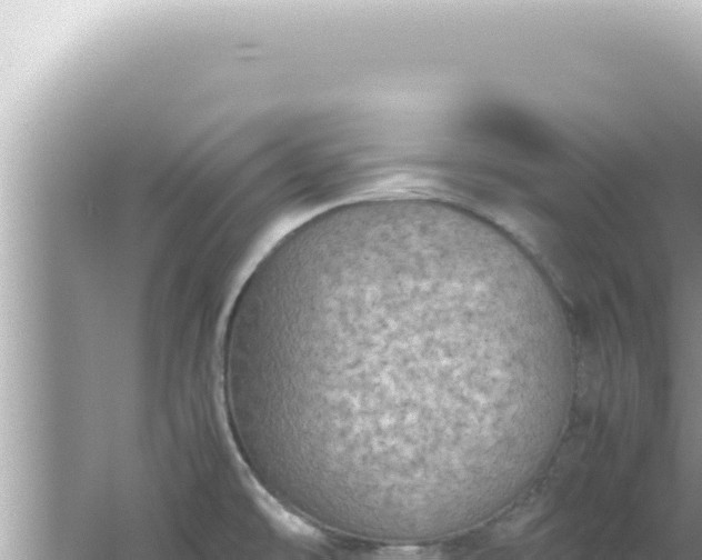 X0000061721478200512091947