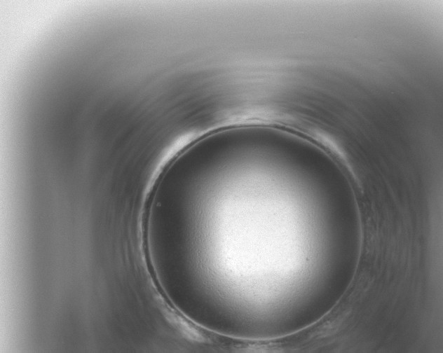 X0000061721480200512091947