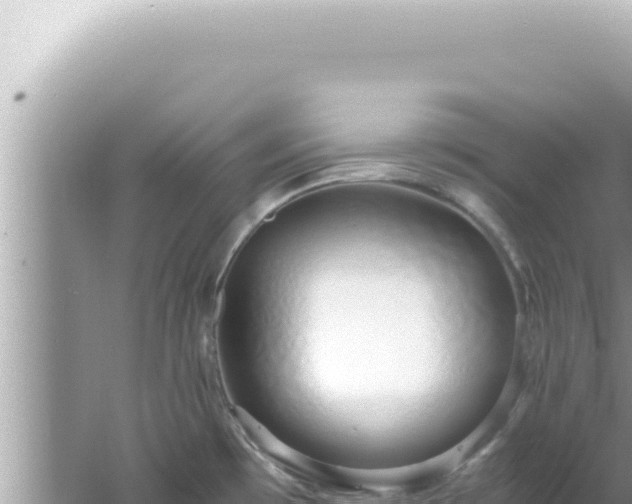 X0000061721481200512091947