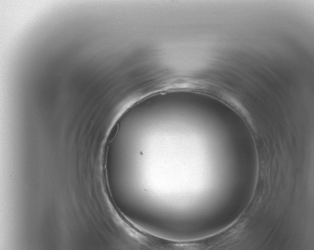 X0000061721483200512091947