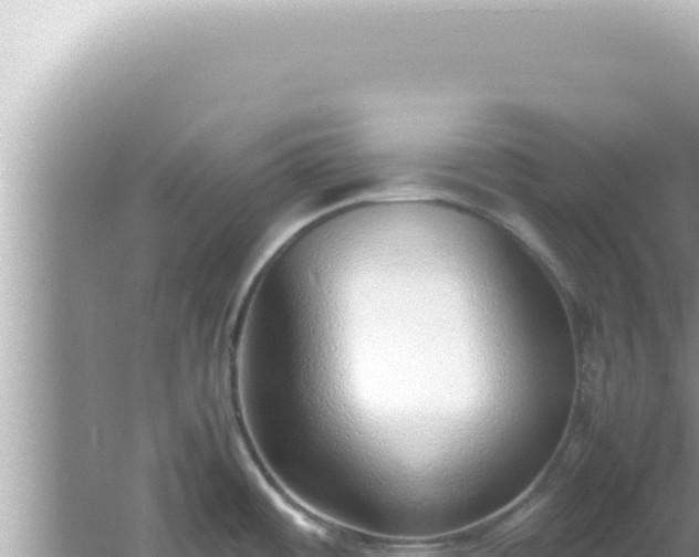 X0000061721484200512091947