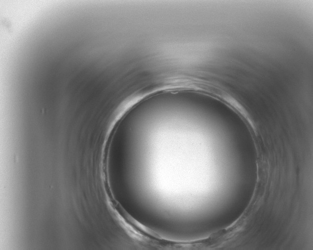 X0000061721485200512091947