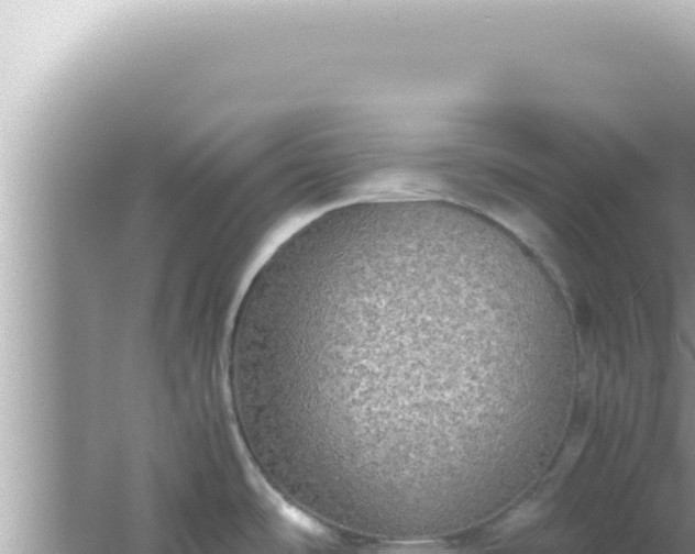 X0000061721486200512091947