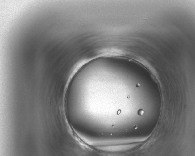 X0000061721488200512091947