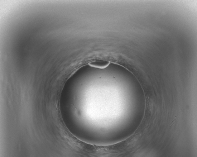 X0000061721489200512091946