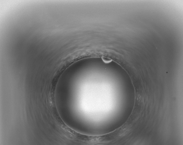 X0000061721490200512091946