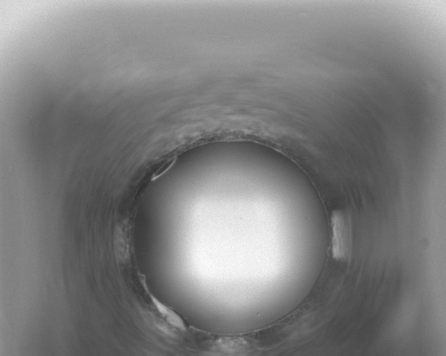 X0000061721491200512091946