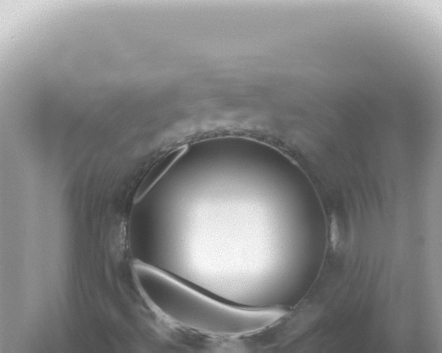 X0000061721492200512091946