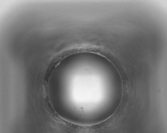 X0000061721493200512091946