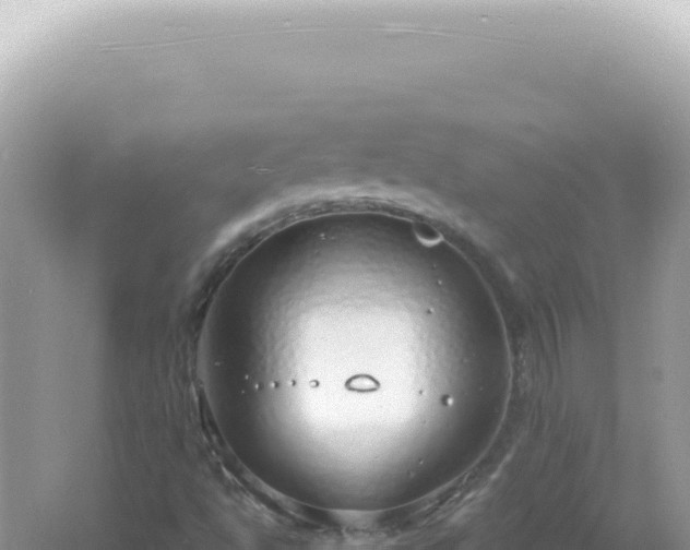 X0000061721494200512091946