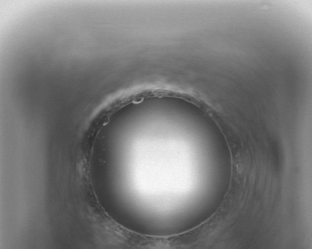 X0000061721495200512091946