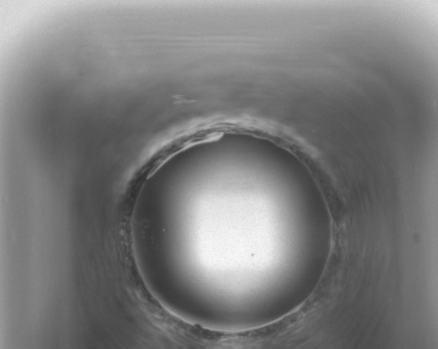 X0000061721496200512091946